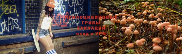 амф Арсеньев