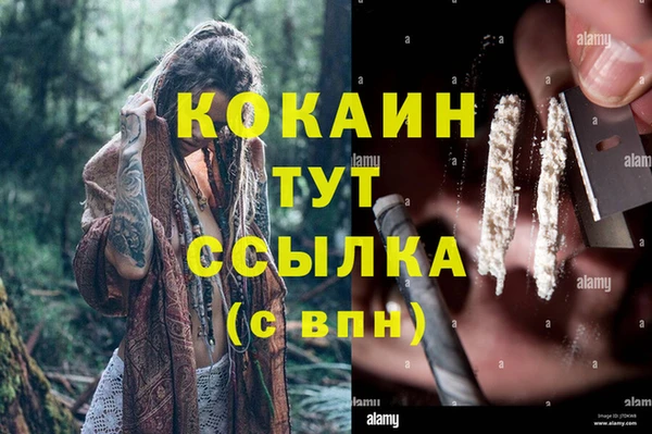 амф Арсеньев