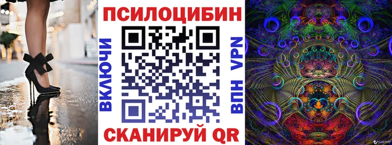 Купить где  Петров Вал  Галлюциногенные грибы Psilocybe 
